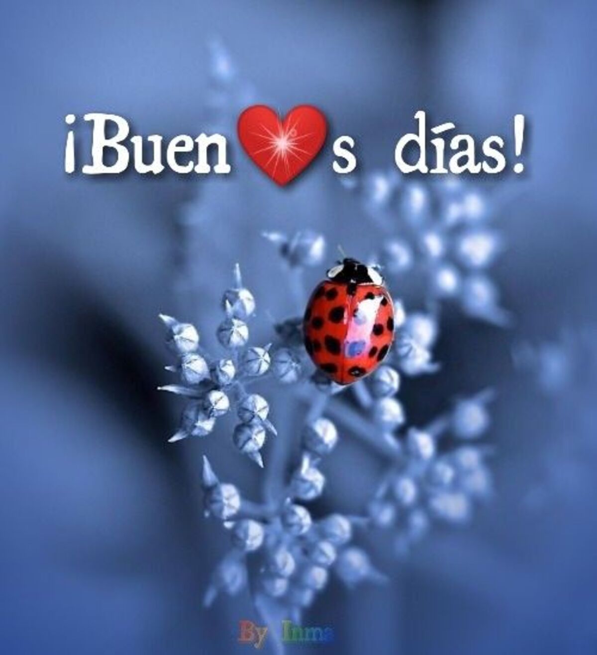 Buenos Días imágenes para enviar en Facebook 10