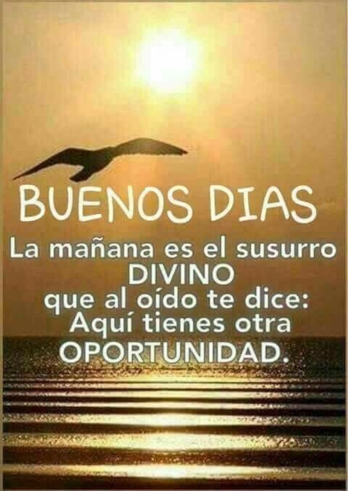 Buenos Días imágenes para enviar en Facebook 7