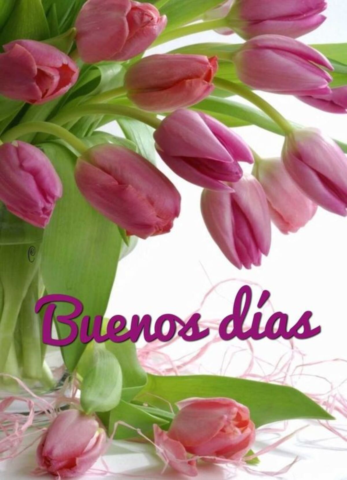 Buenos Días imágenes para enviar en Whatsapp 11