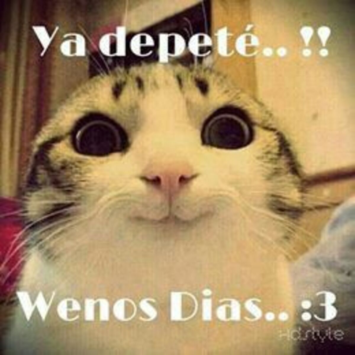 Buenos Días imágenes para enviar en Whatsapp 13
