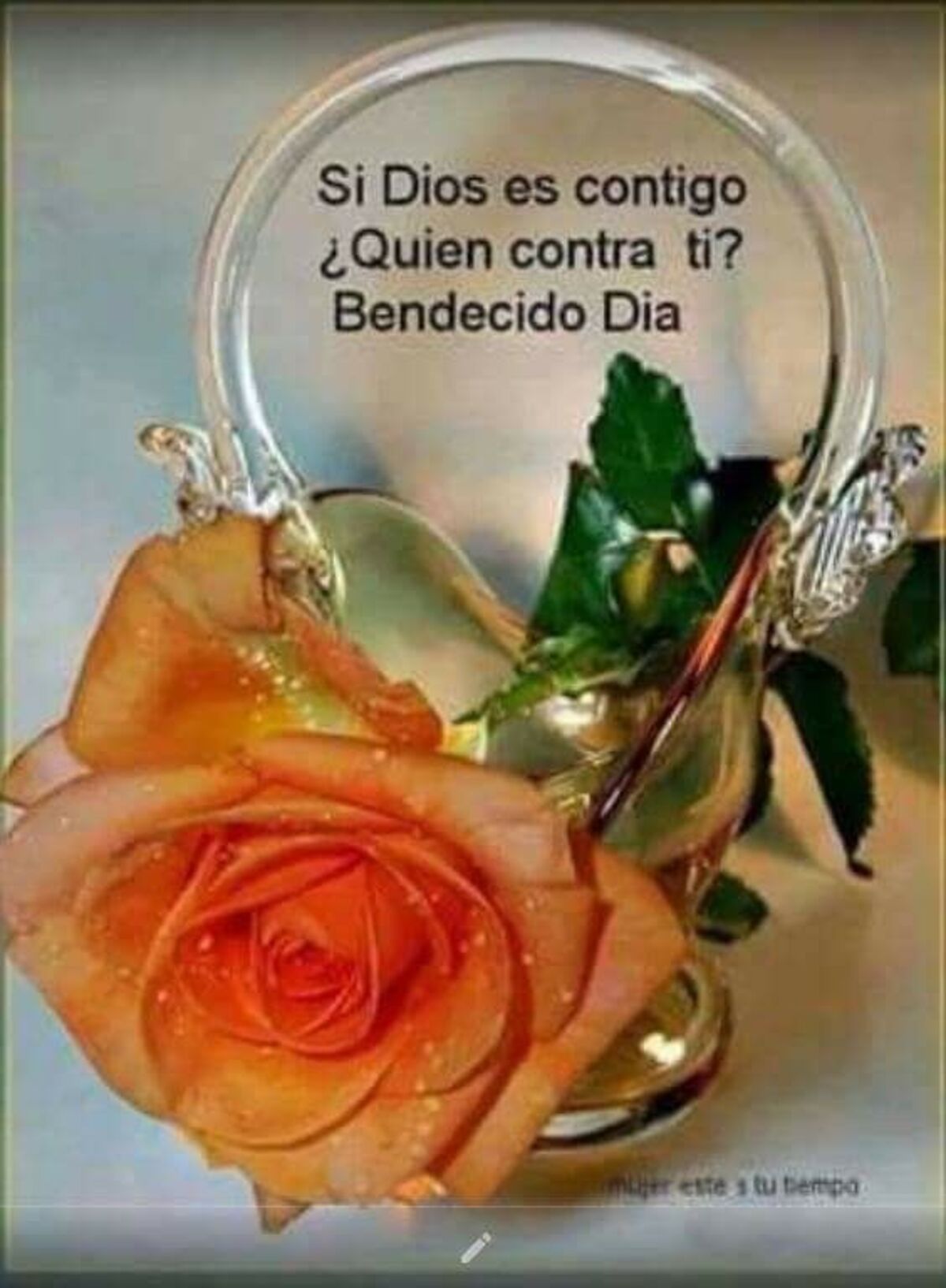 Buenos Días imágenes para enviar en Whatsapp 2