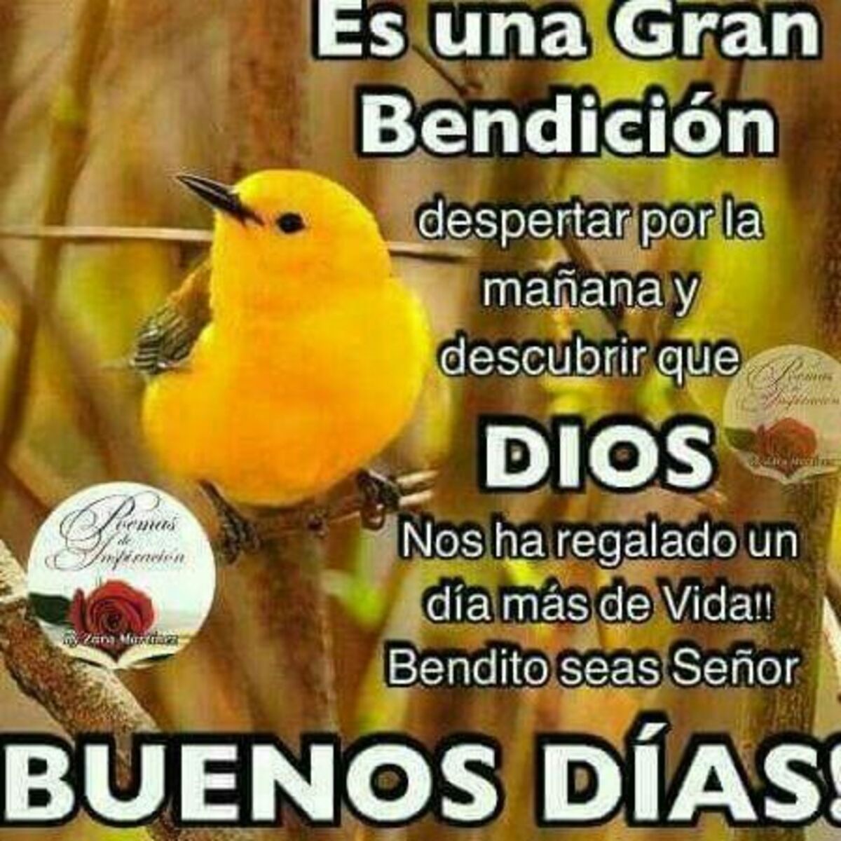 Buenos Días imágenes para enviar en Whatsapp 4