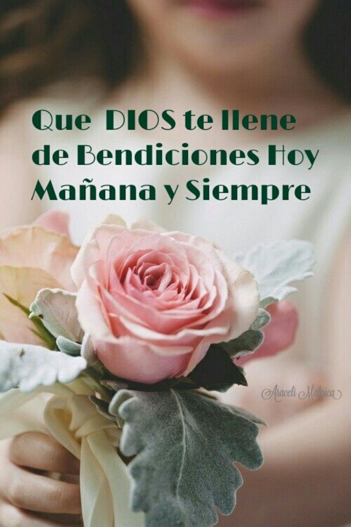Buenos Días imágenes para enviar en Whatsapp 7