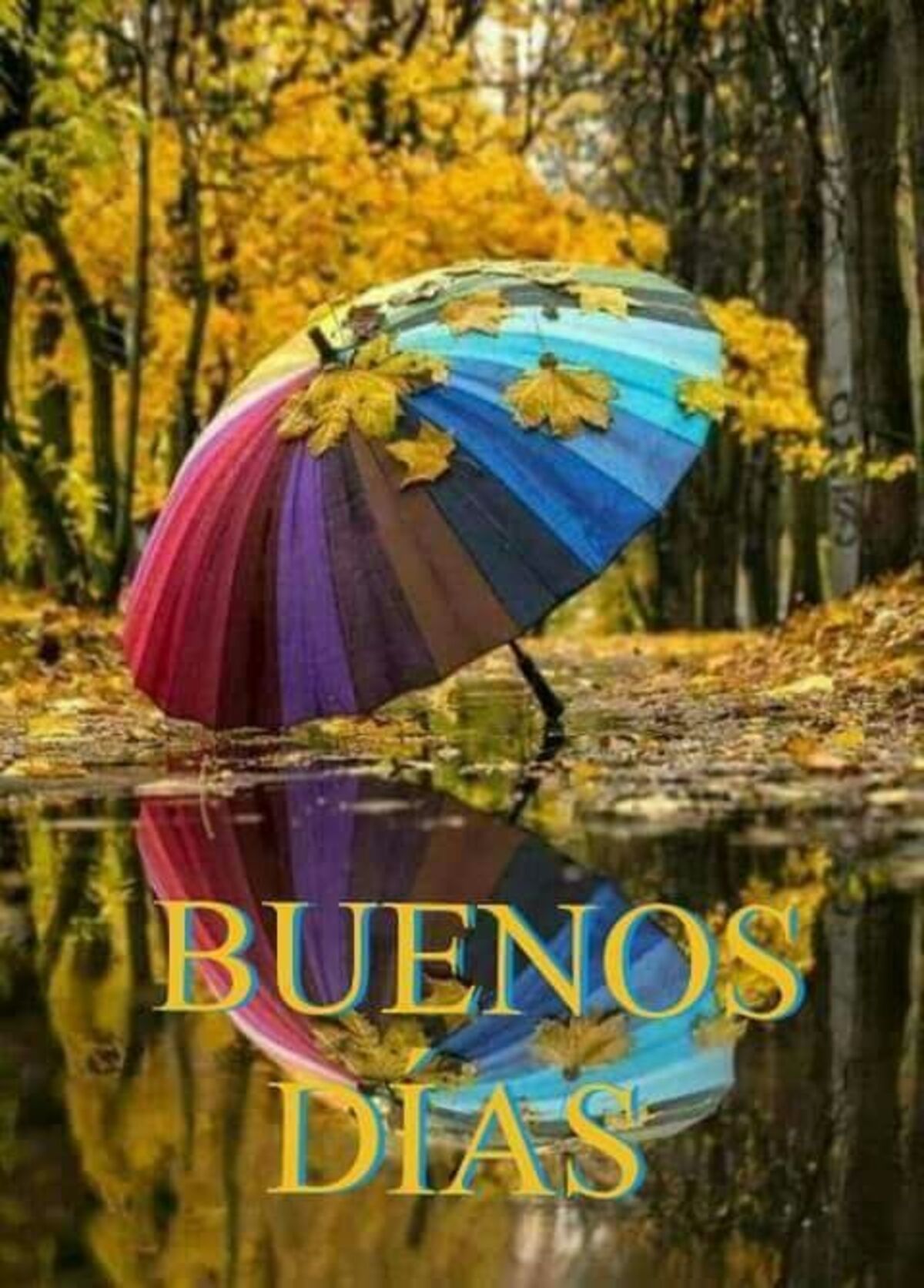 Buenos Días lluviosos (2)