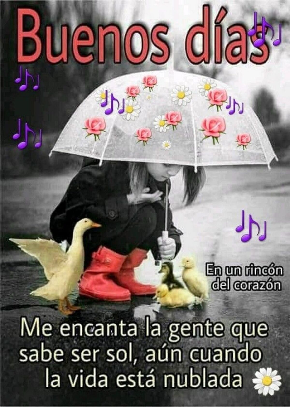 Buenos Días lluviosos (3)