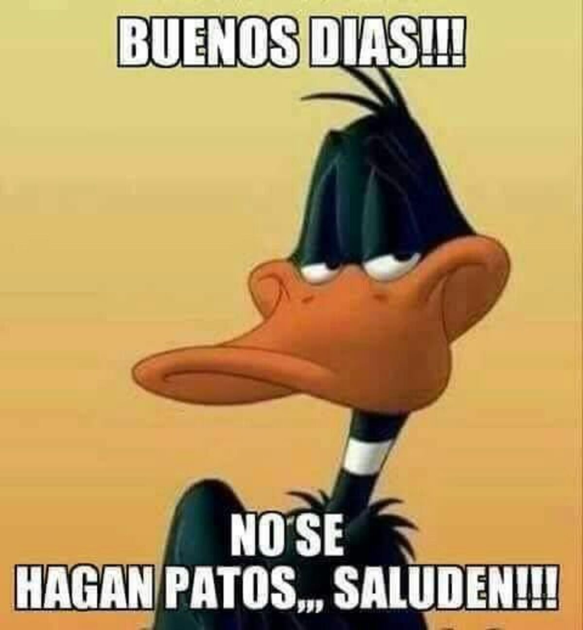 Buenos Días no se hagan patos saluden