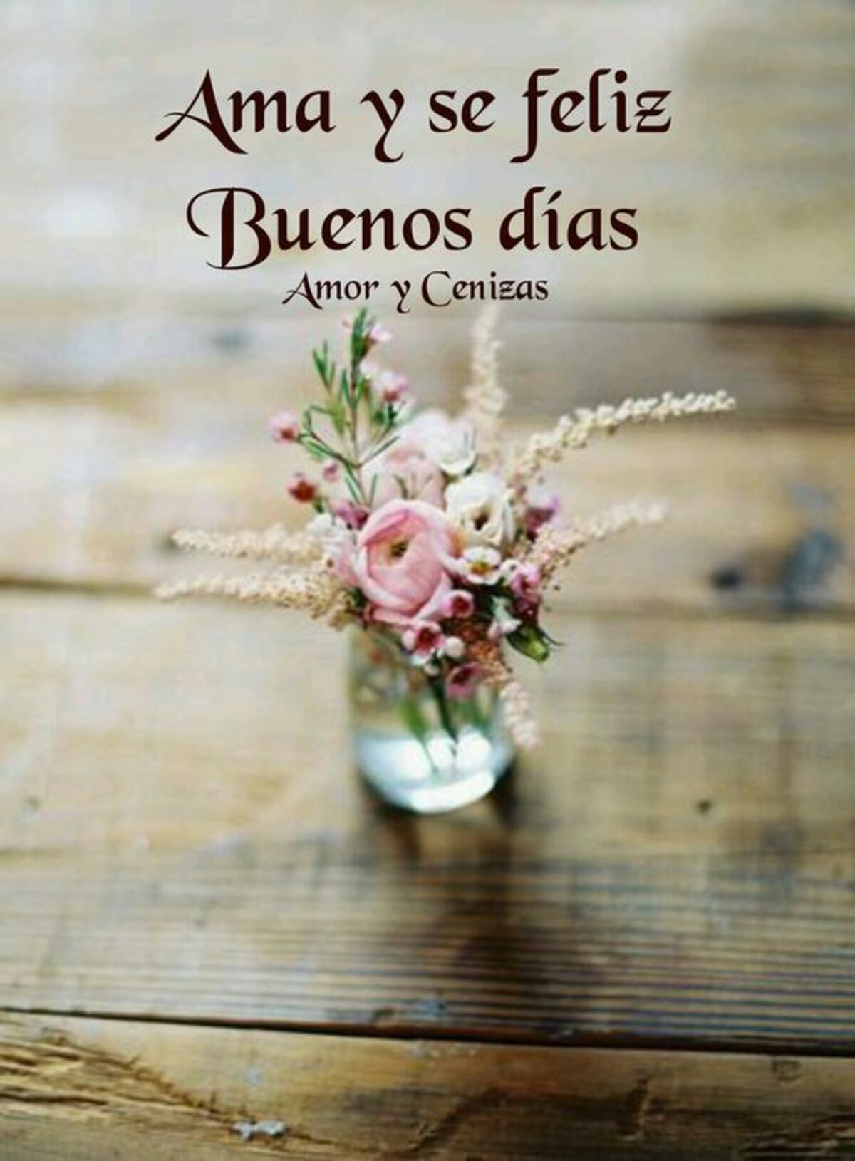 Buenos Días nuevos 11