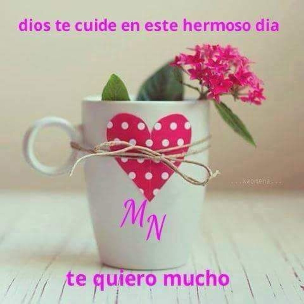 Buenos Días nuevos 13