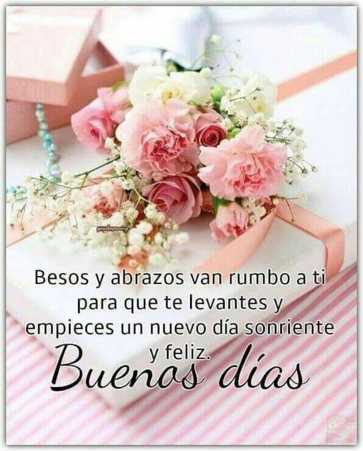 Buenos Días nuevos 2