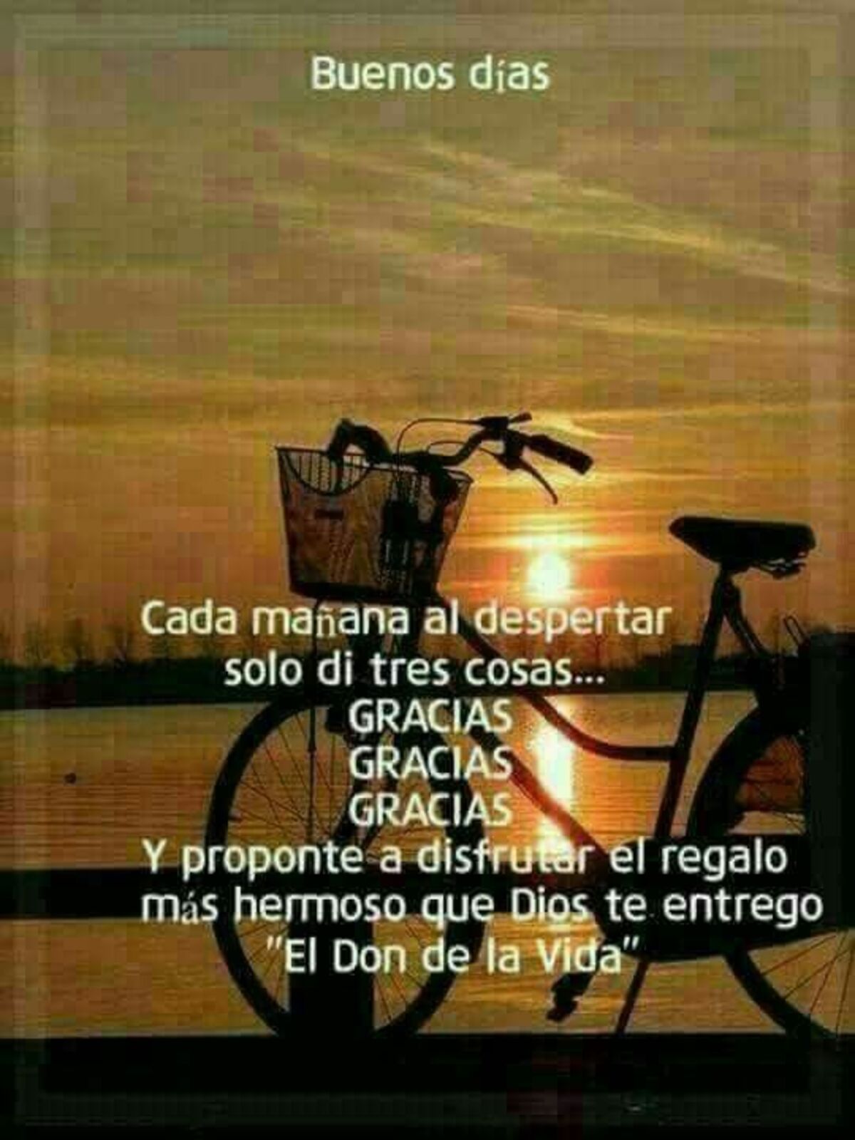 Buenos Días nuevos 6