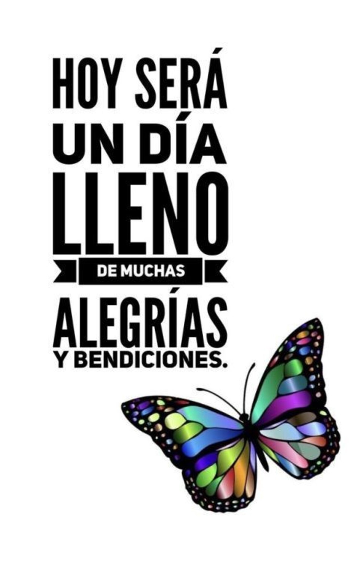 Buenos Días nuevos 7