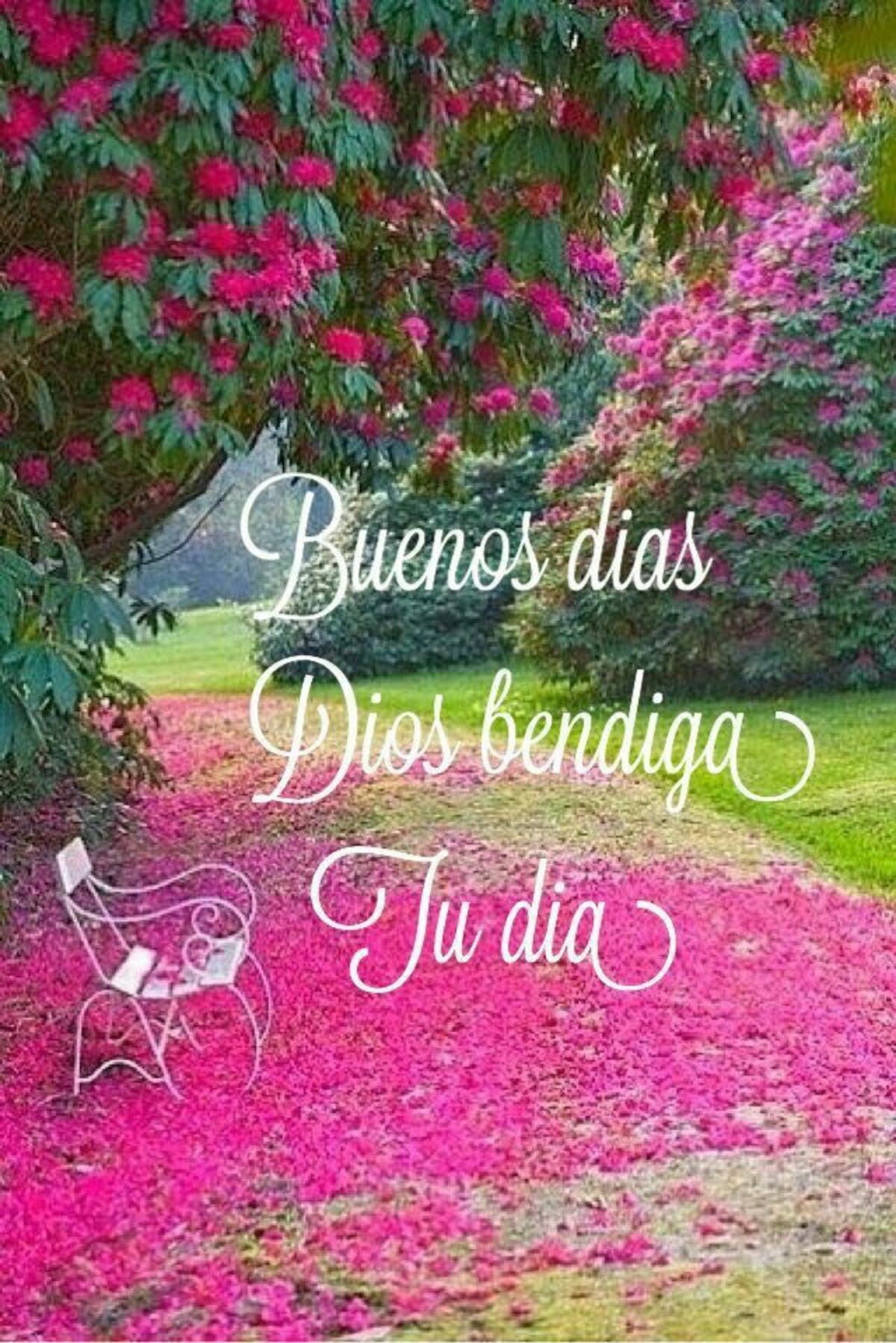 Buenos Días primavera (1)