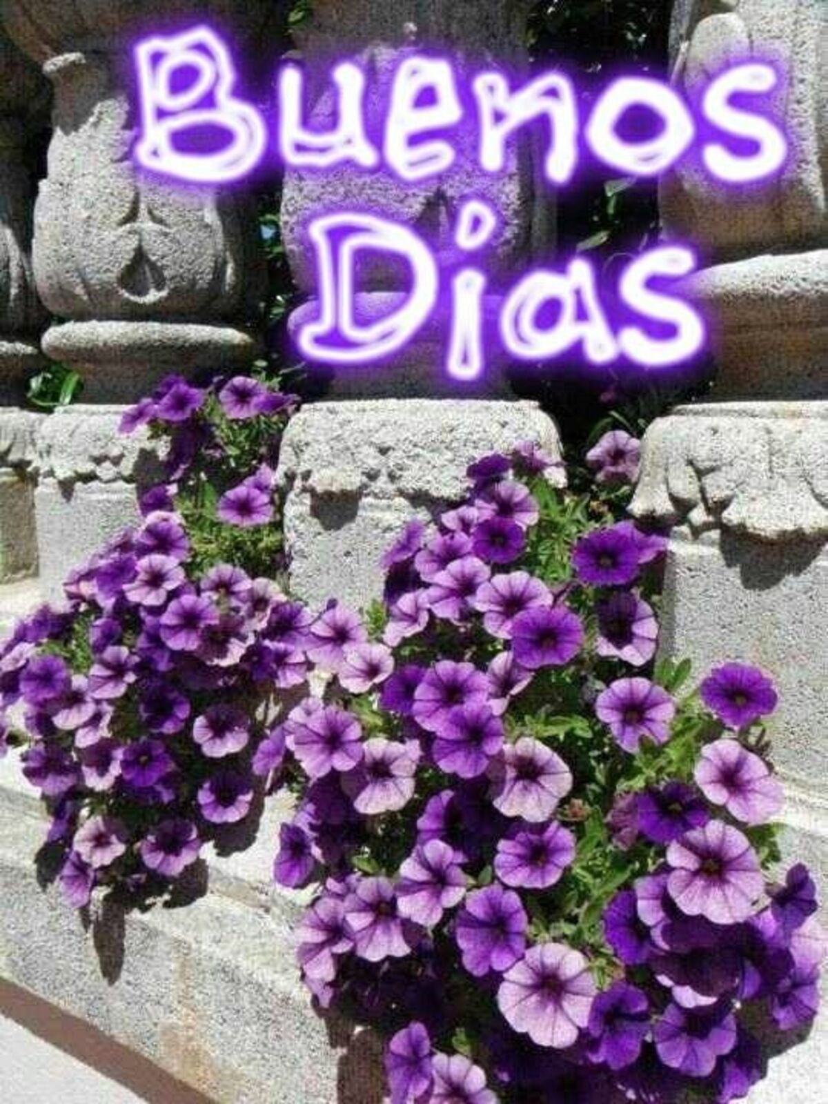 Buenos Días primavera (2)
