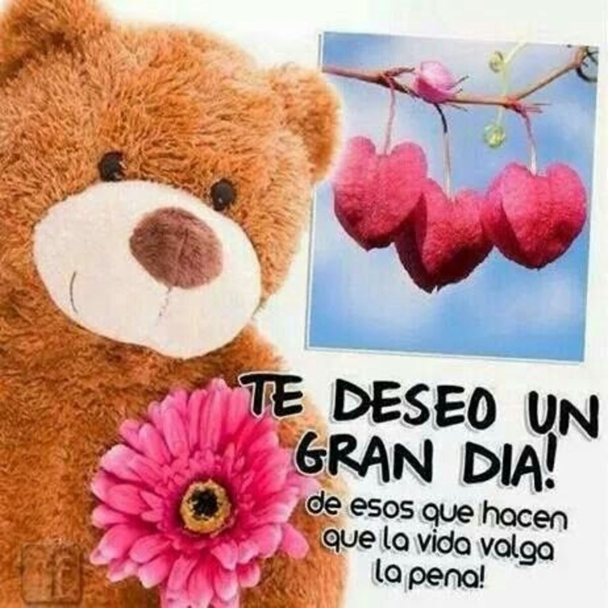 Buenos Días primavera (6)