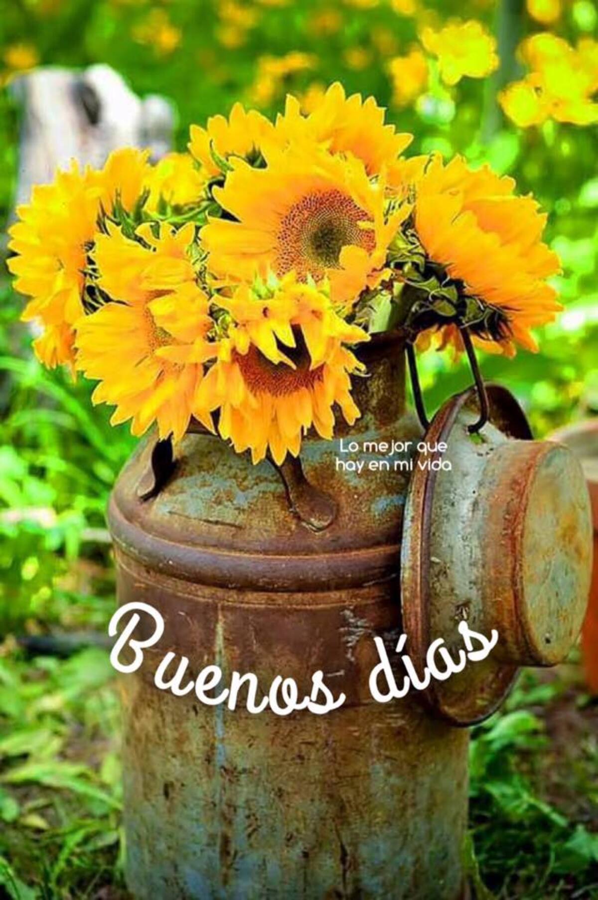 Buenos Días tarjetas para grupos 10