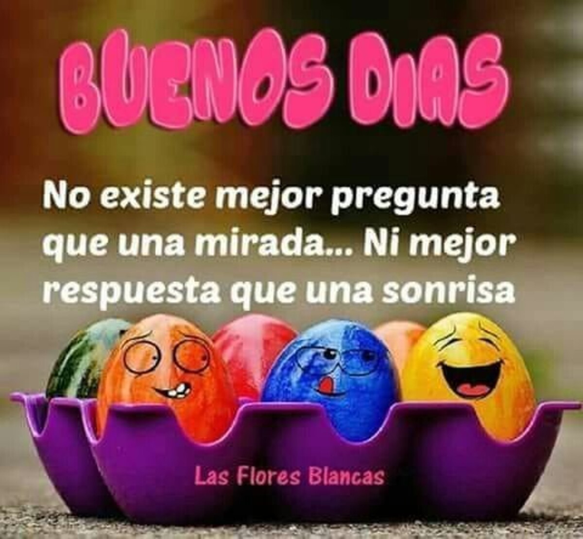 Buenos Días tarjetas para grupos 14