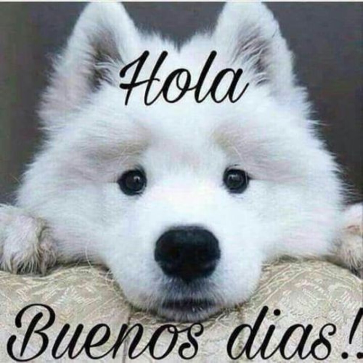 Buenos Días tarjetas para grupos 4