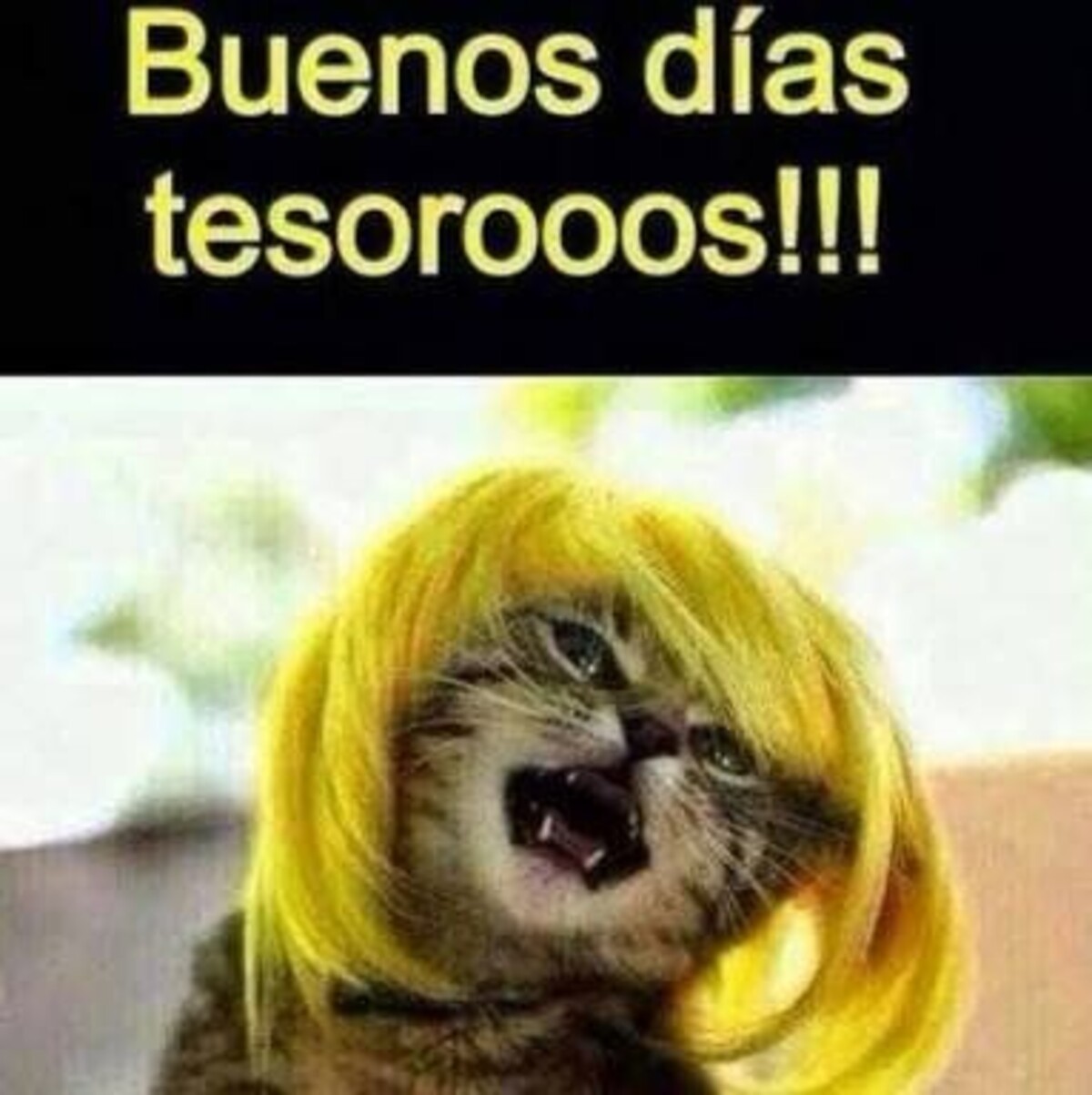 Buenos Días tesorooos