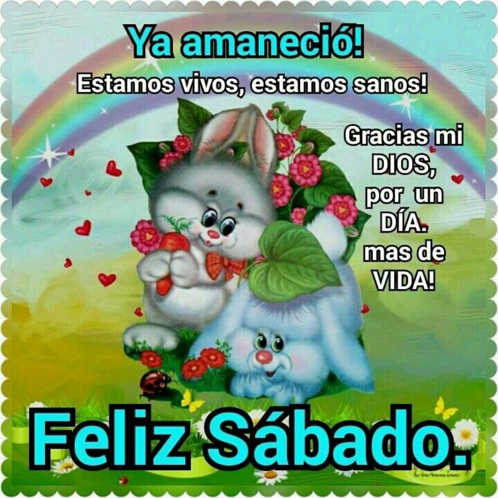 Buenos Días y Feliz Sábado 11