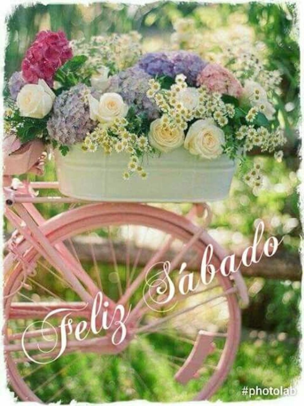 Buenos Días y Feliz Sábado 5