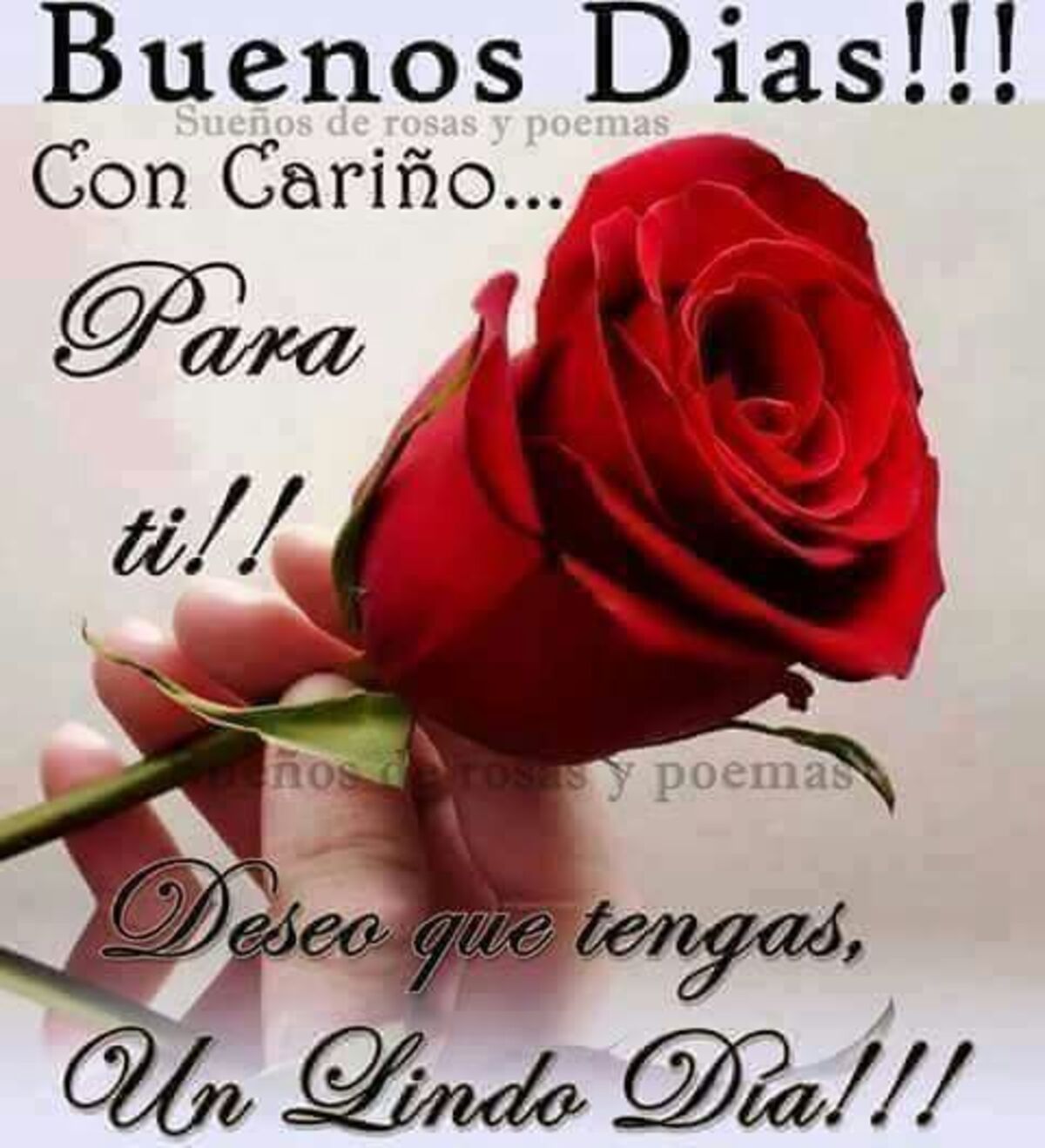 Buenos dias mi amor imagenes bonitas (4)