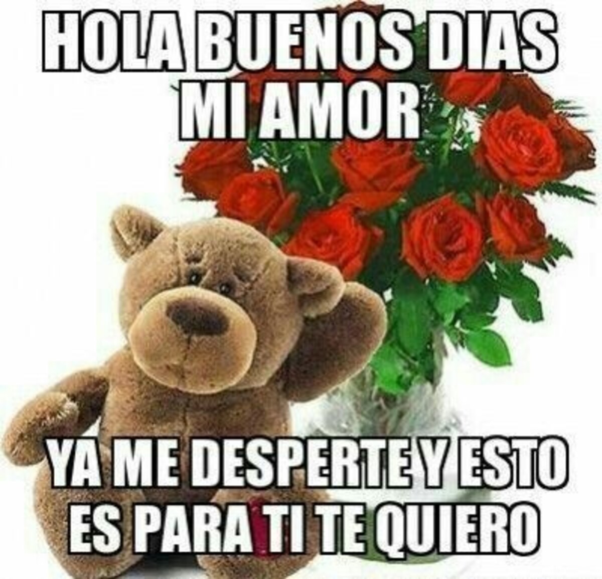 Buenos dias mi amor imagenes bonitas (5)