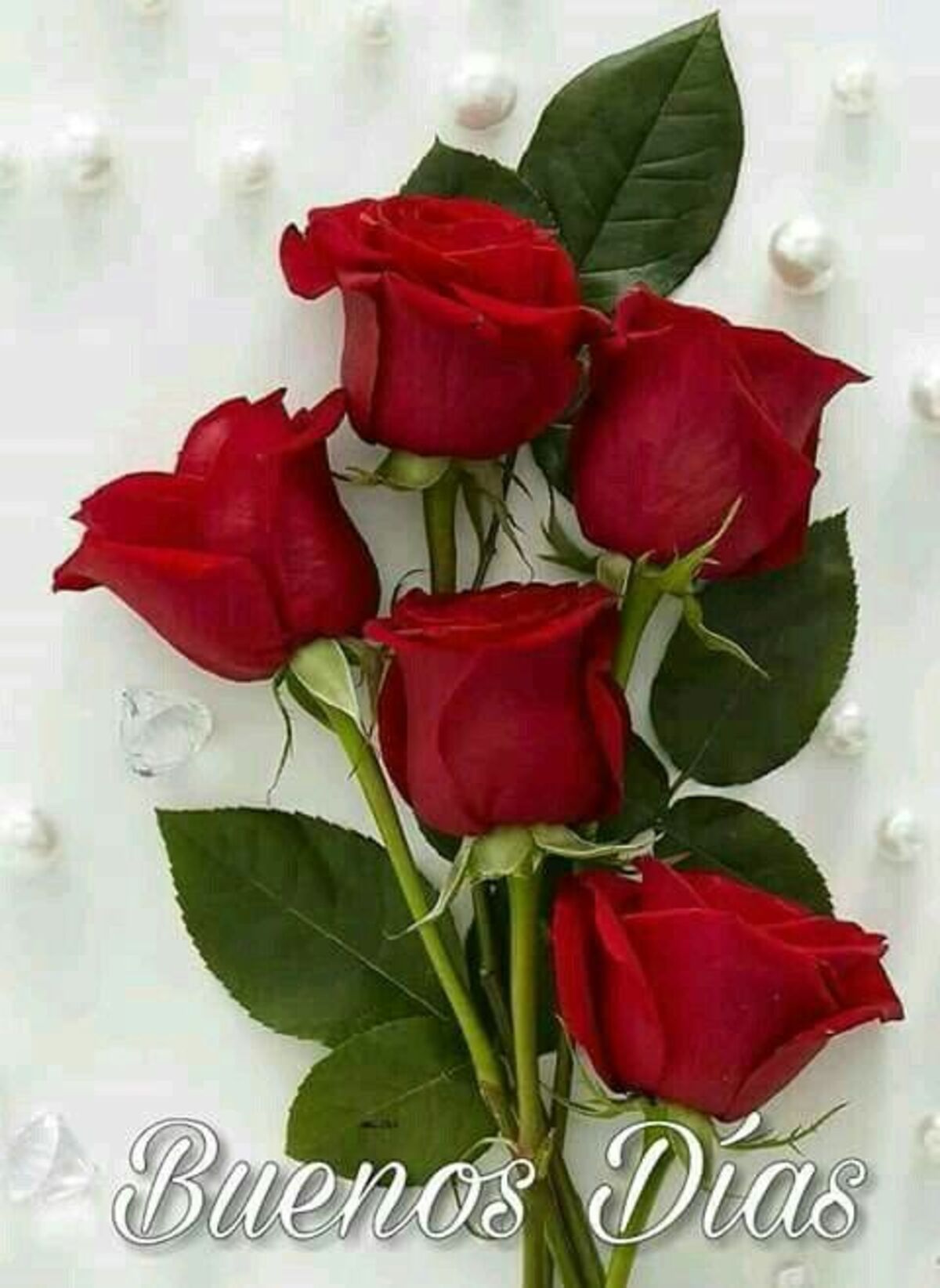Buenos dias mi amor imagenes bonitas (8)