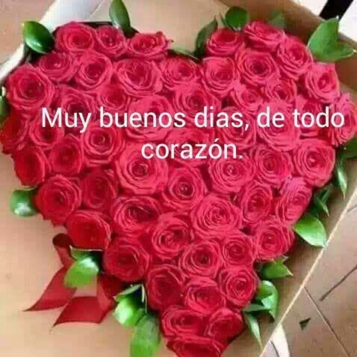 Buenos dias mi amor imagenes bonitas (9)