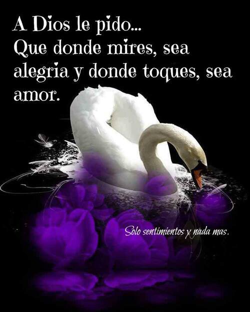 Dios te bendiga Pinterest (1)