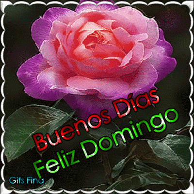 Domingo GIF (10)
