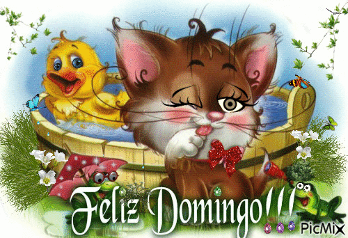 Domingo GIF (8)