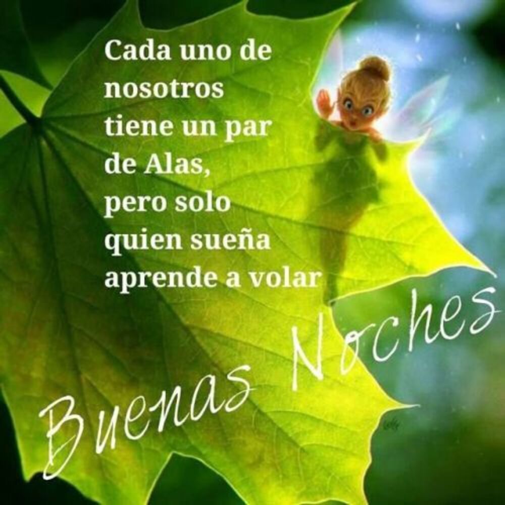 Feliz Descanso 2