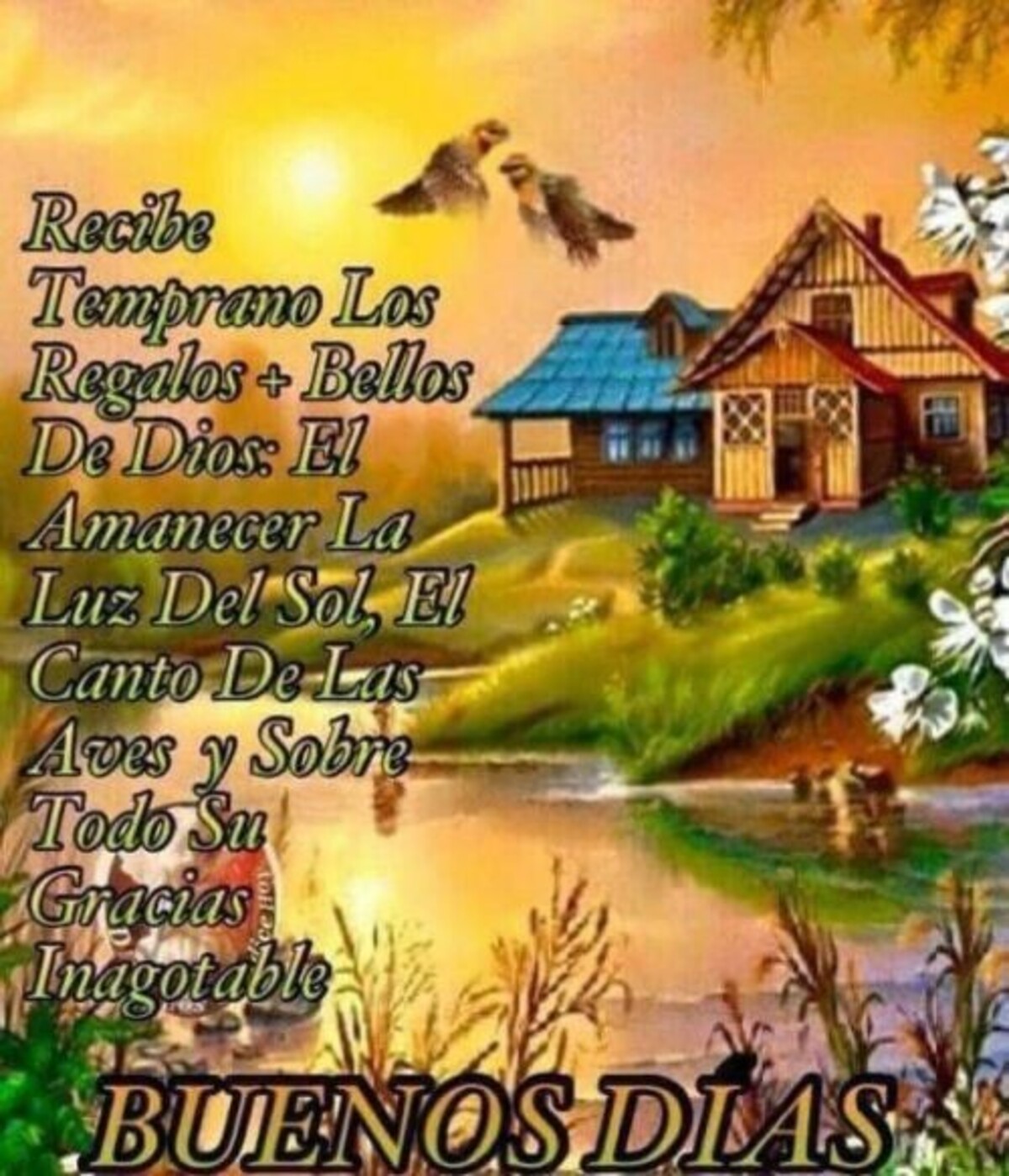 Feliz Día 14