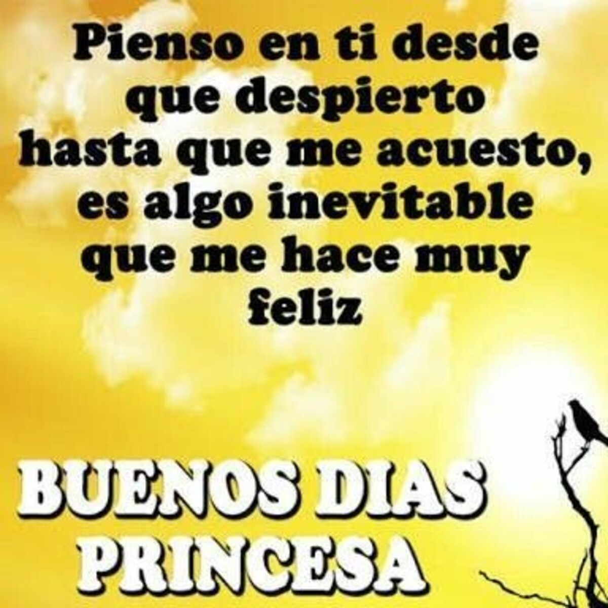 Feliz Día 7