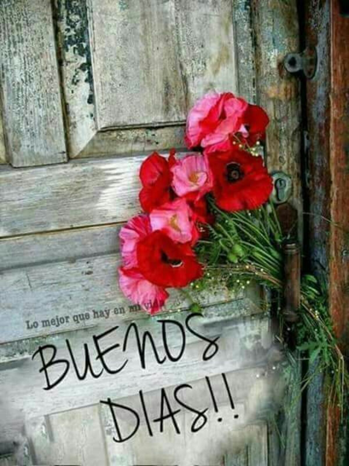 Feliz Día Bendiciones para WhatsApp 11