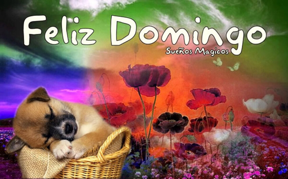 Feliz Domingo 13