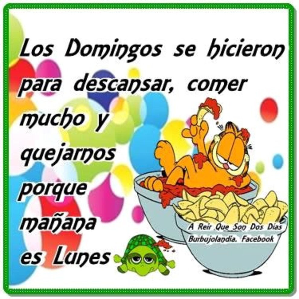 Feliz Domingo 14