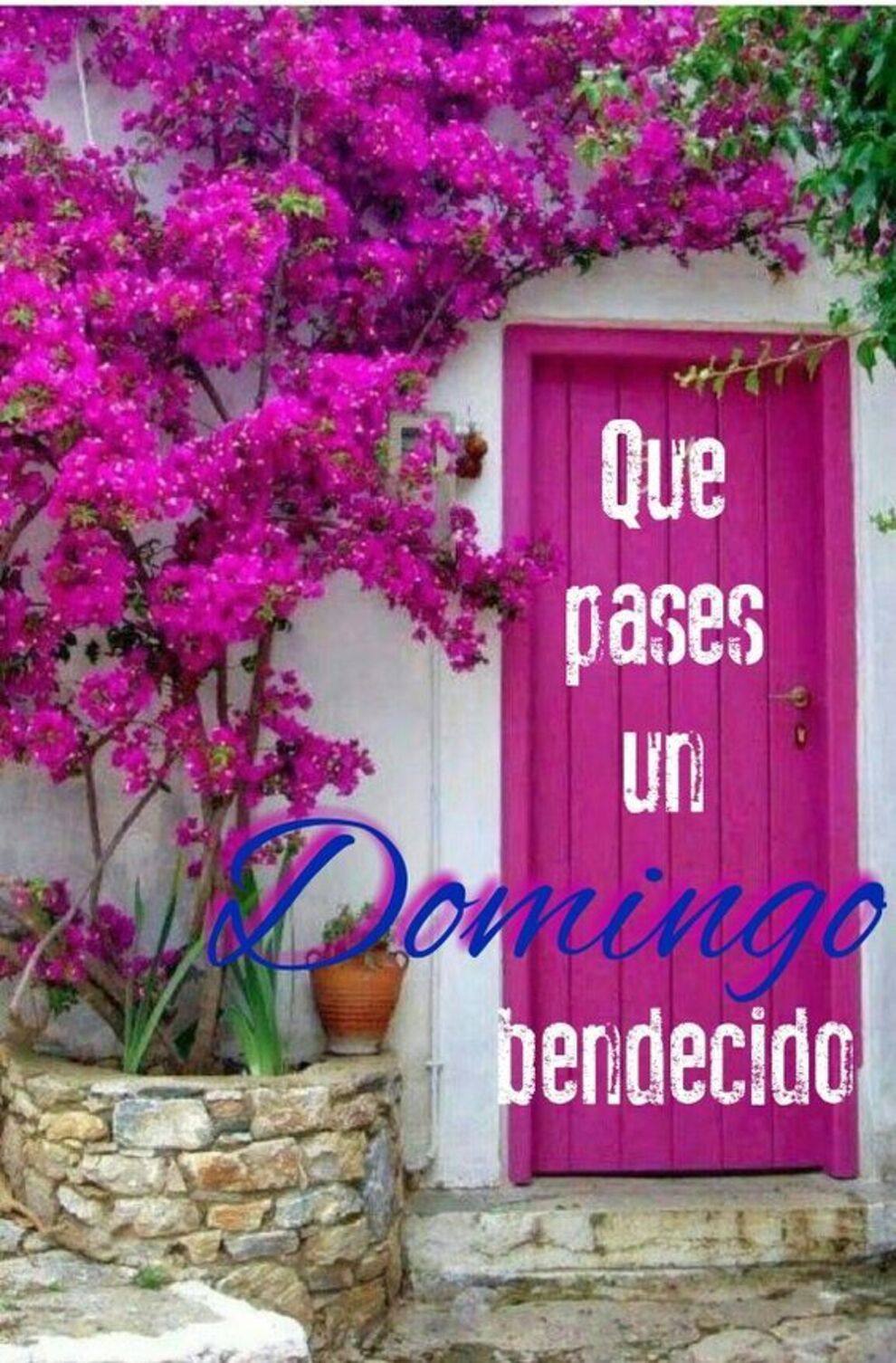 Feliz Domingo 15