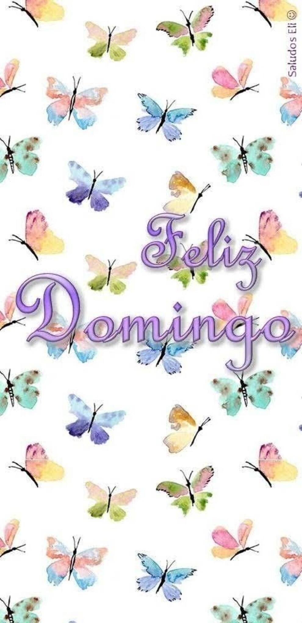 Feliz Domingo 3