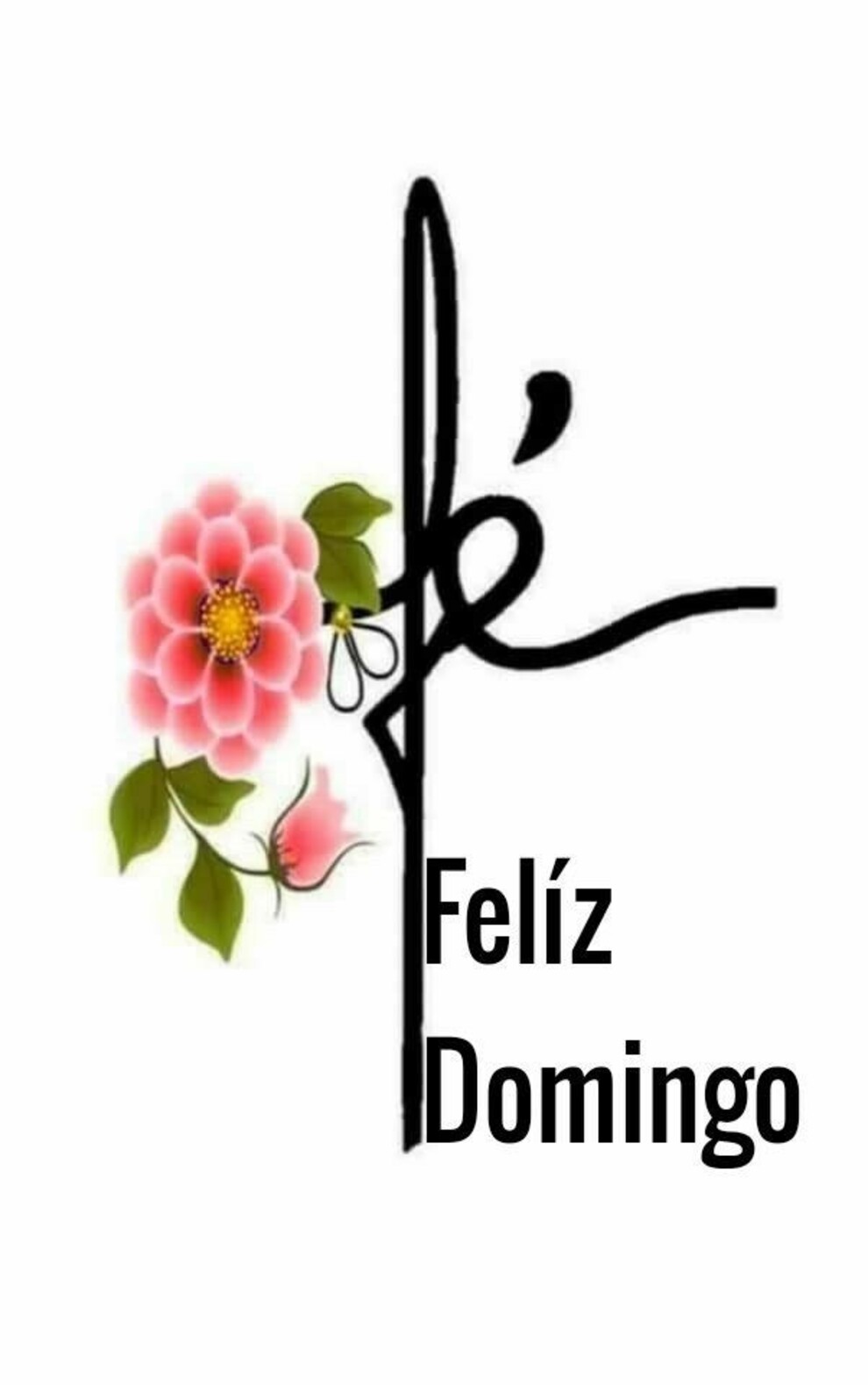 Feliz Domingo 7