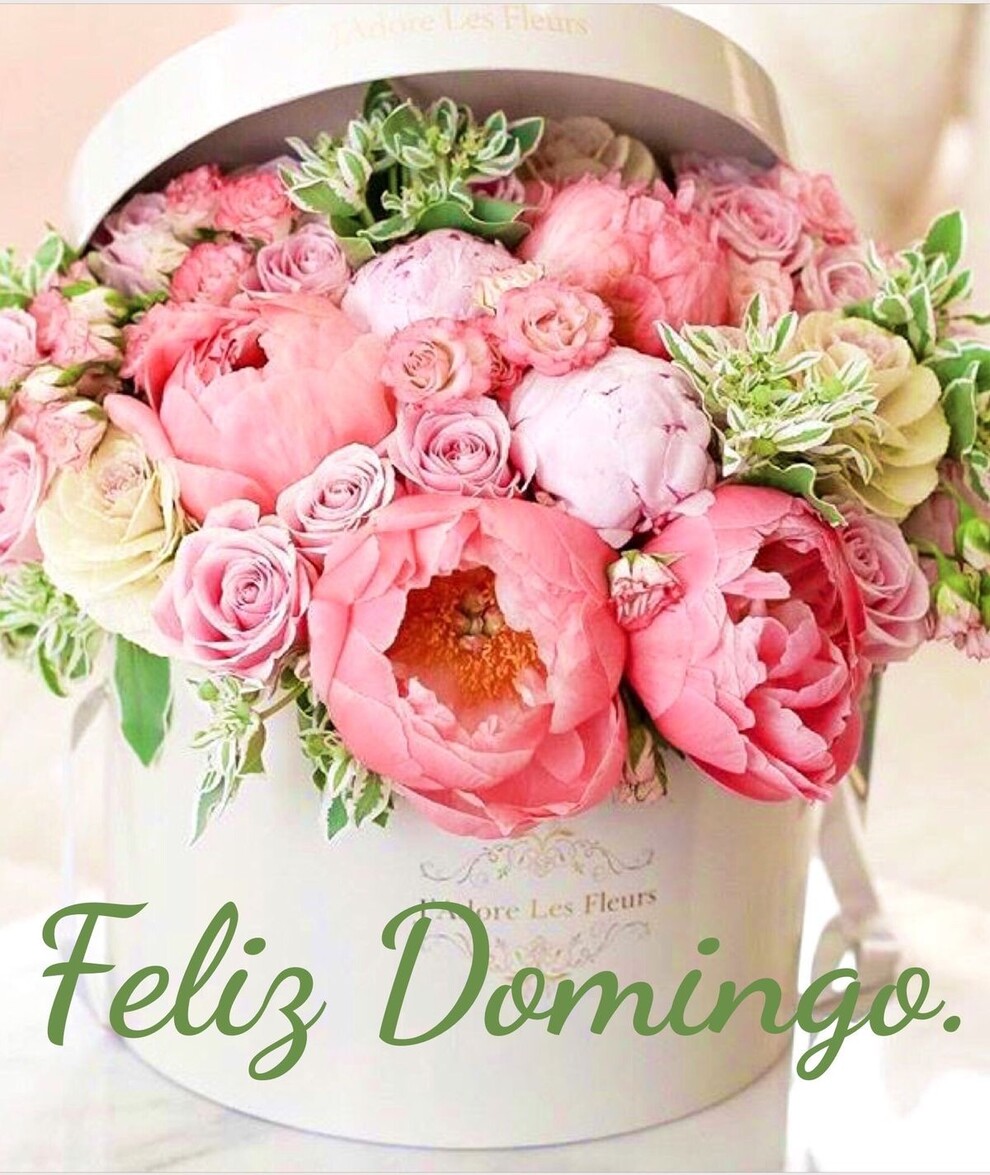 Feliz Domingo 9