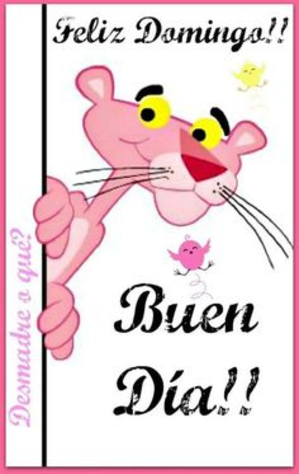 Feliz Domingo Buen Día