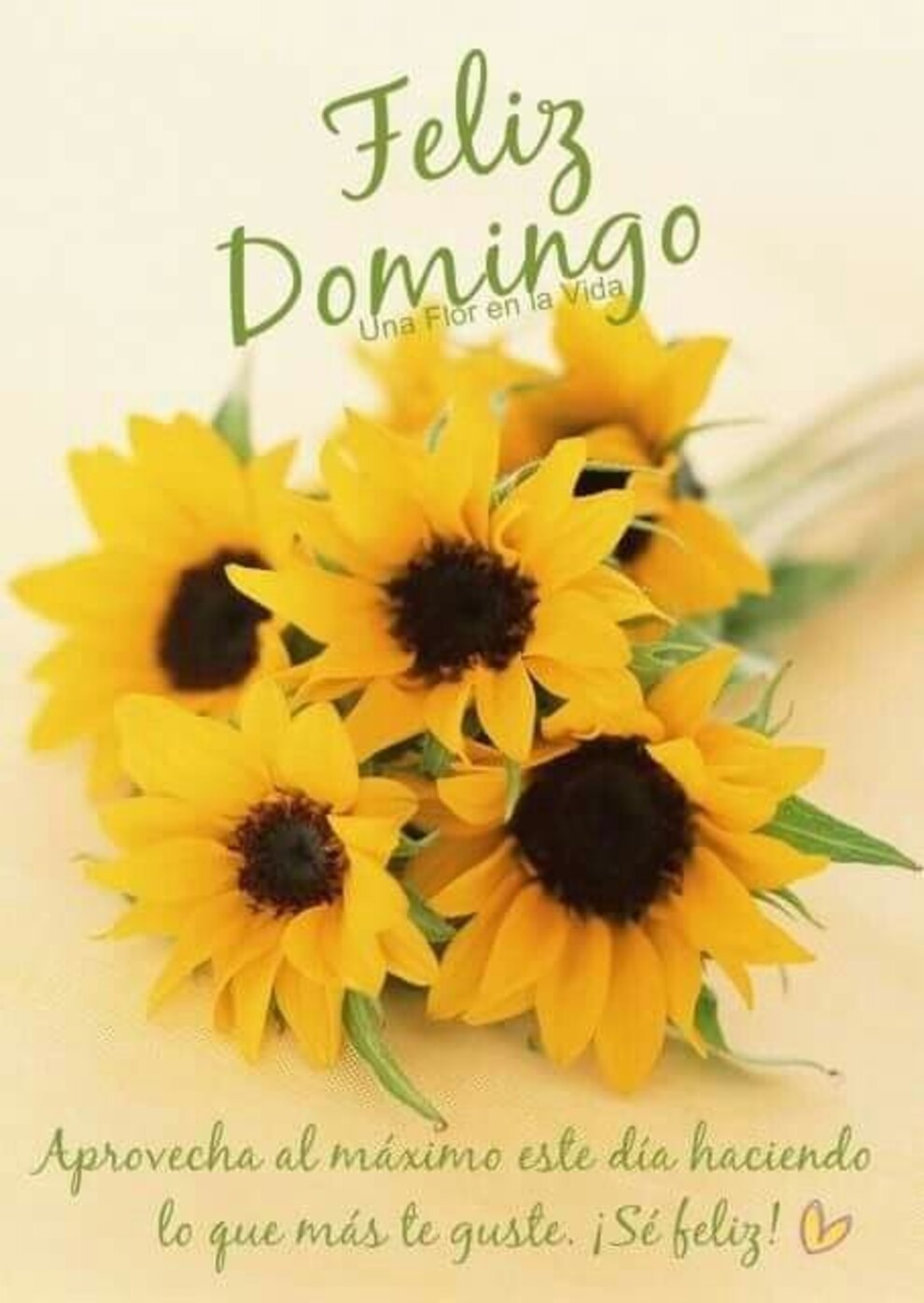 Feliz Domingo Pinterest 1