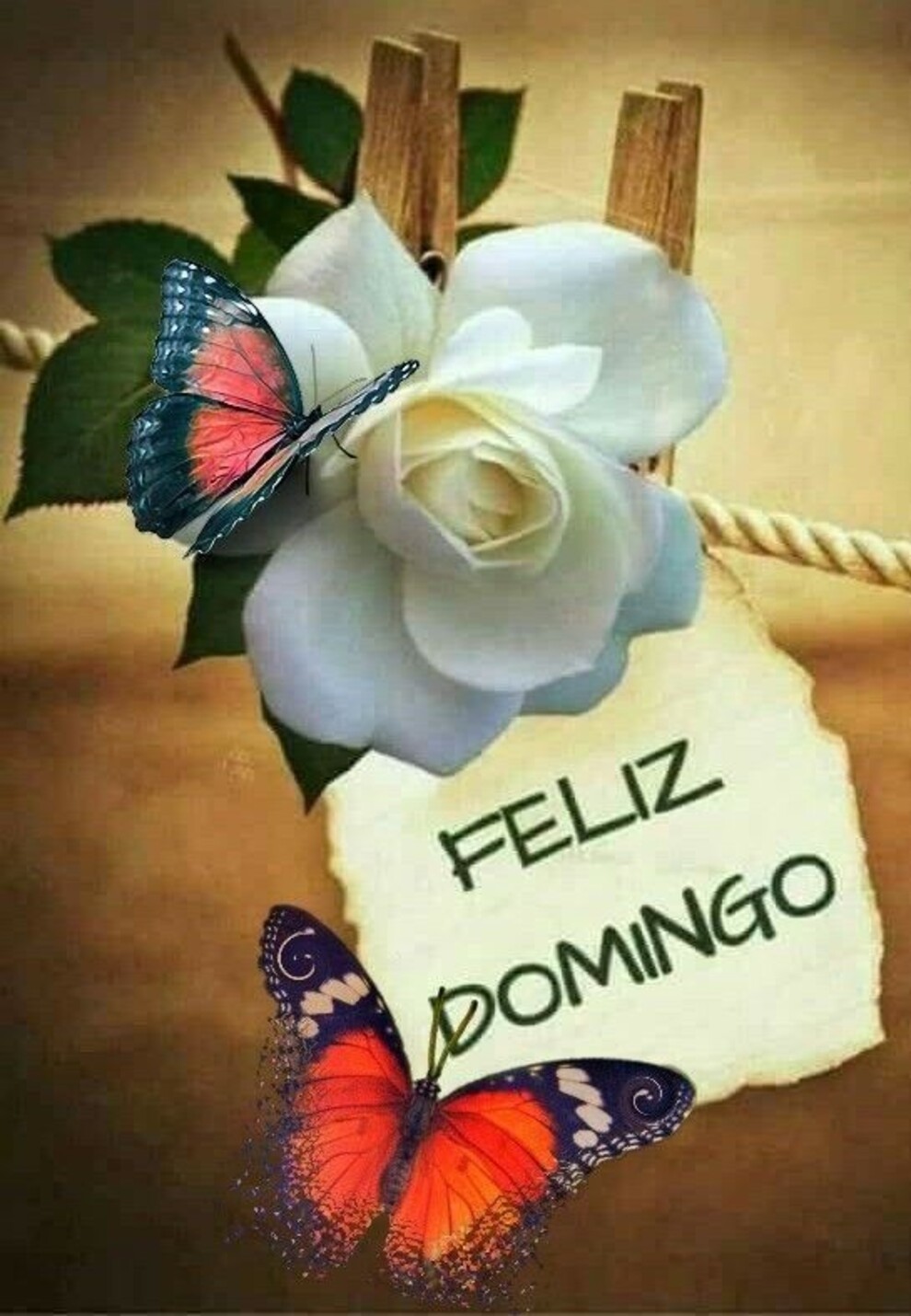 Feliz Domingo Pinterest 3