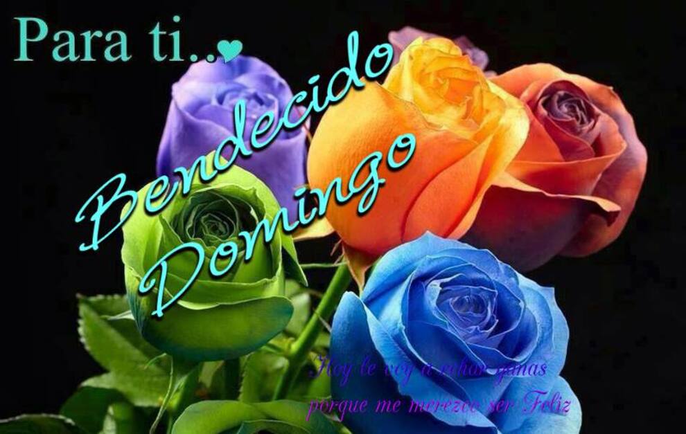 Feliz Domingo Pinterest 4