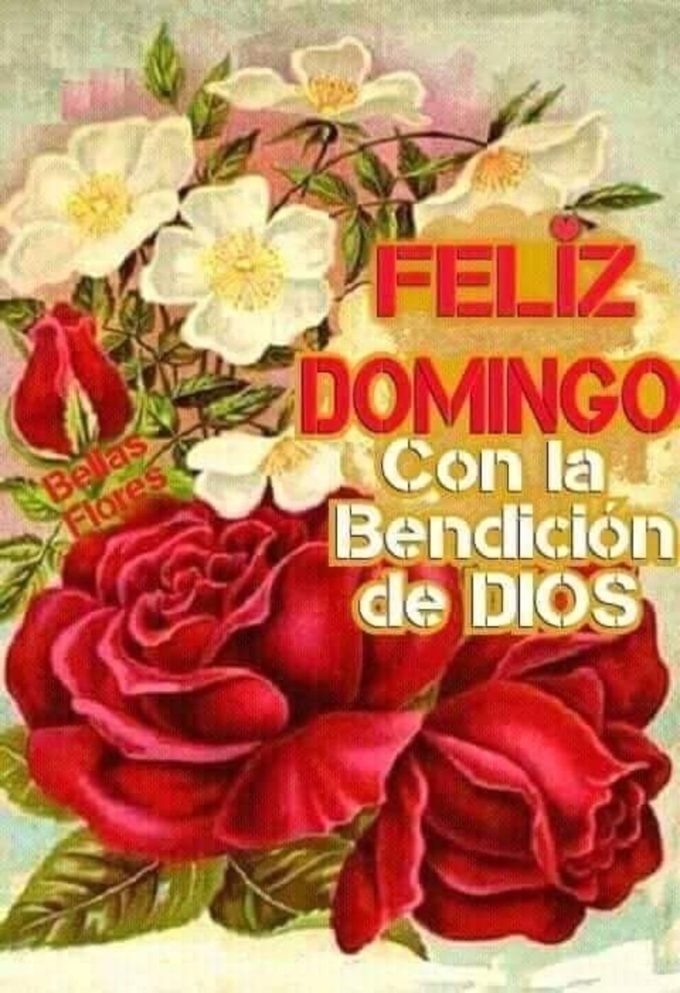 Feliz Domingo Pinterest 5