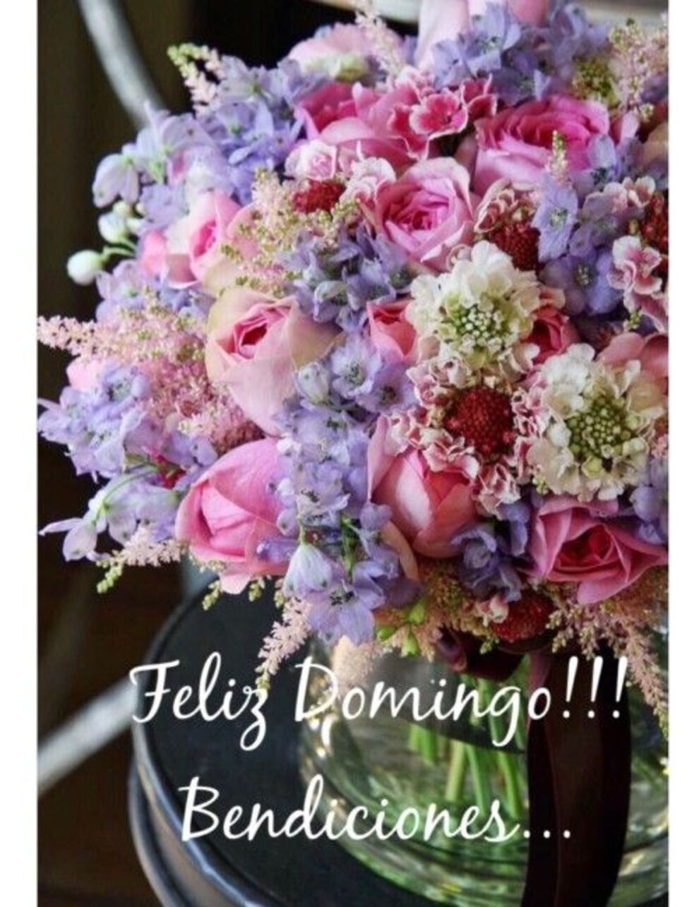 Feliz Domingo WhatsApp 2