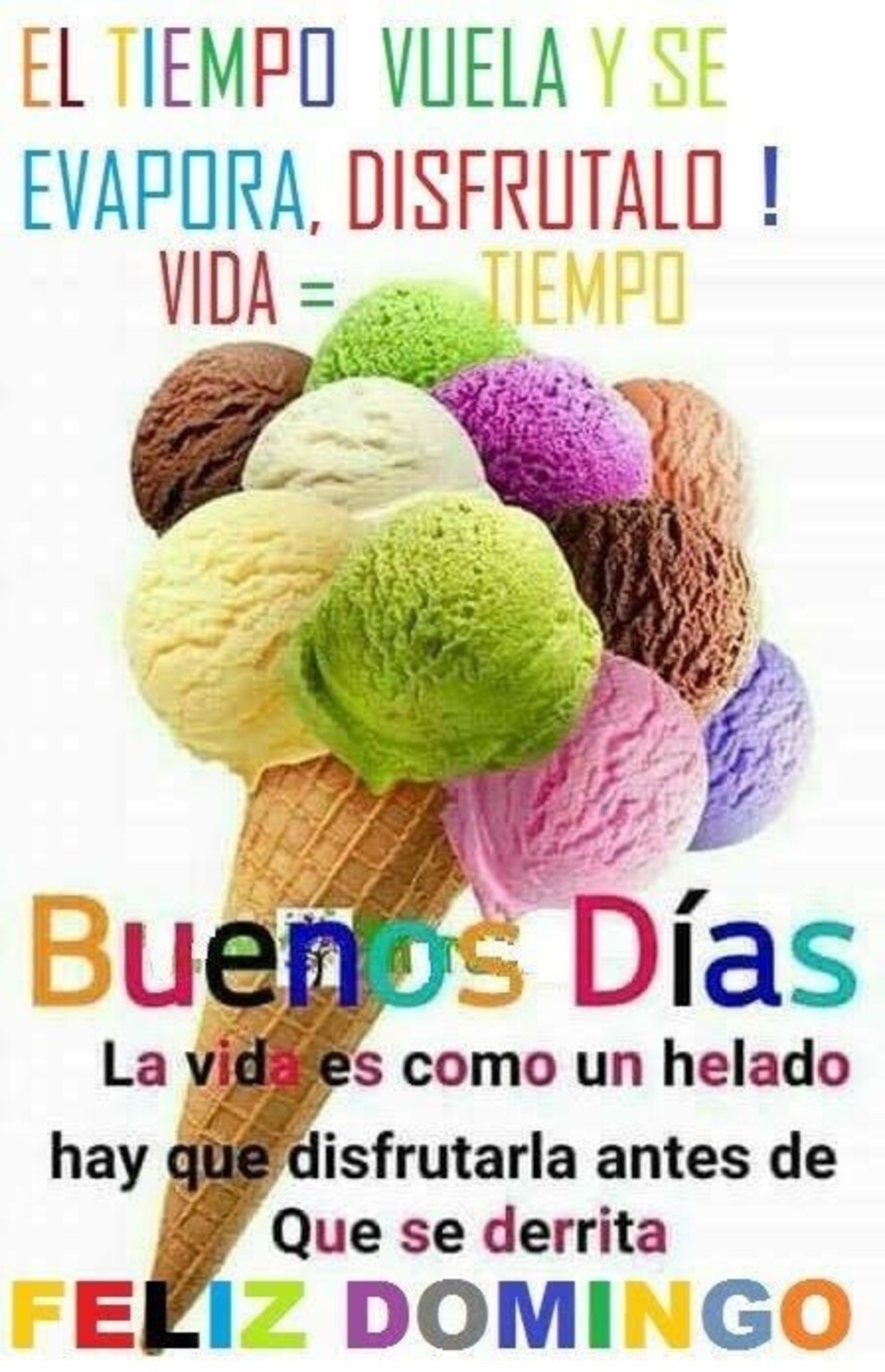 Feliz Domingo WhatsApp 7