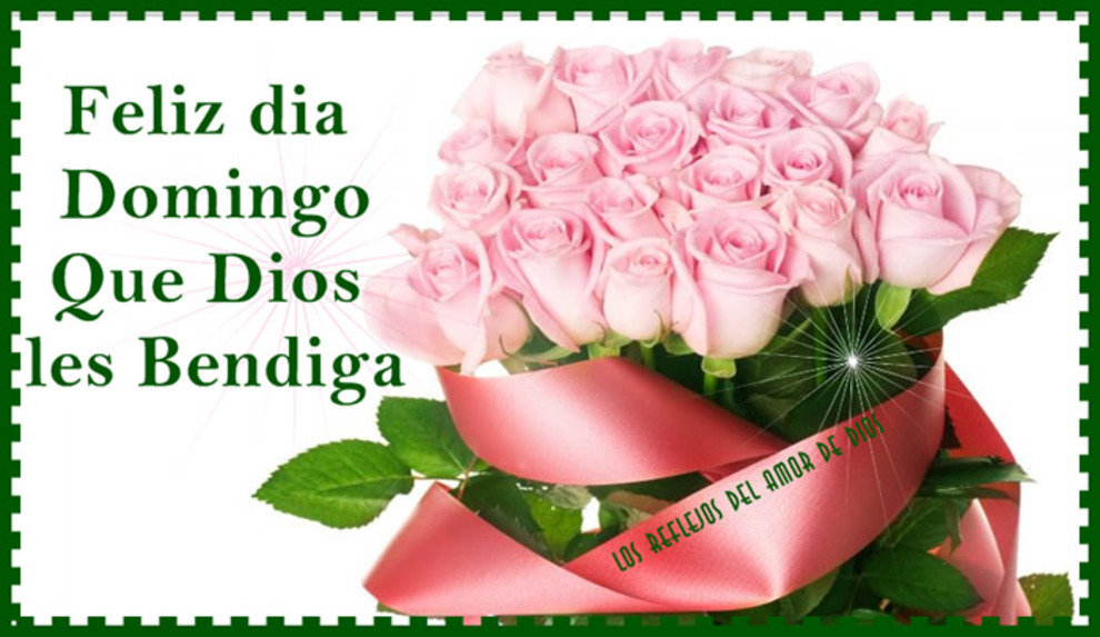 Feliz Domingo WhatsApp 8