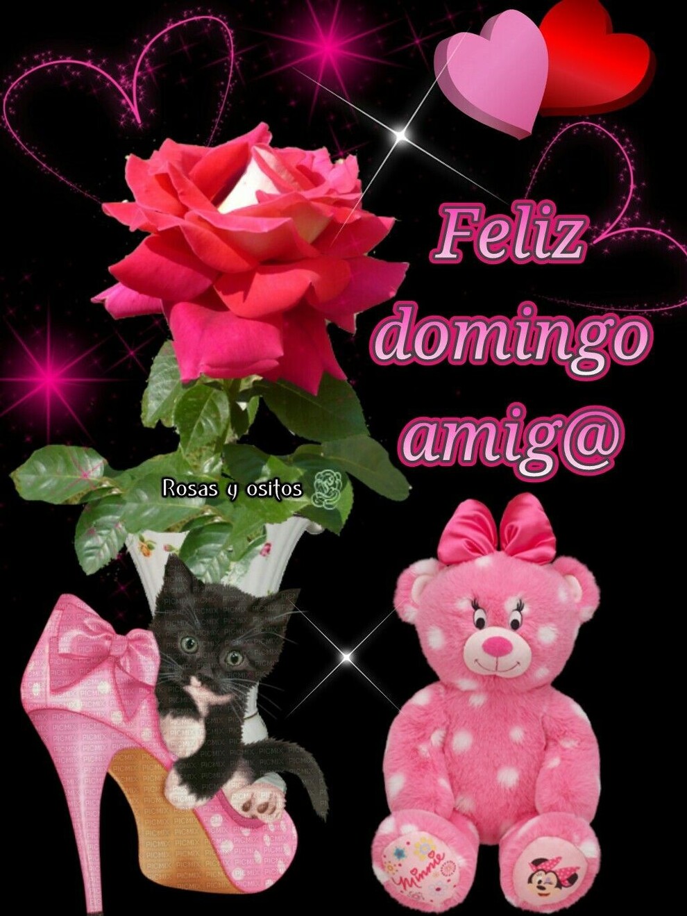Feliz Domingo amigo